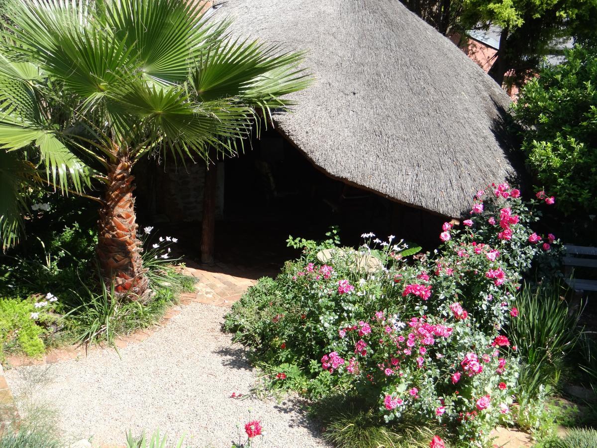 Agterplaas Guesthouse Johannesburg Buitenkant foto