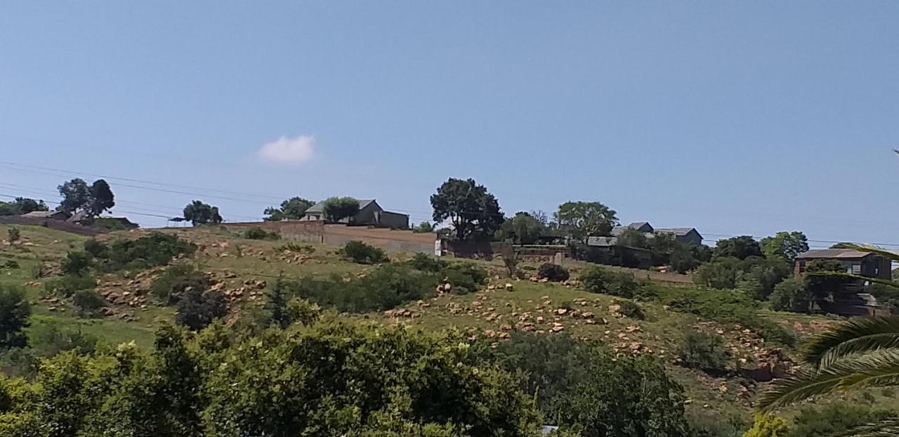 Agterplaas Guesthouse Johannesburg Buitenkant foto